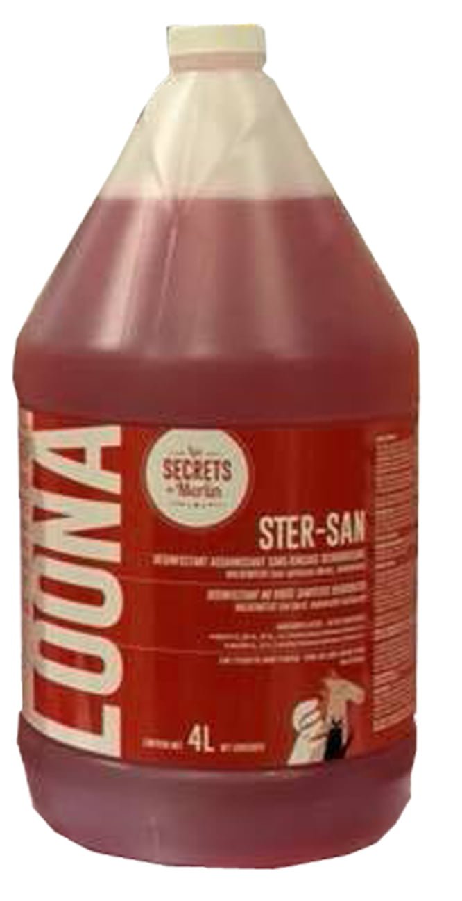 Loona Ster-San PV concentré 4 Litres, Désinfectant fongicide, virucide sans rinçage